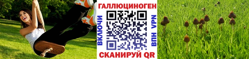 Галлюциногенные грибы мицелий  Купить где  Купино 